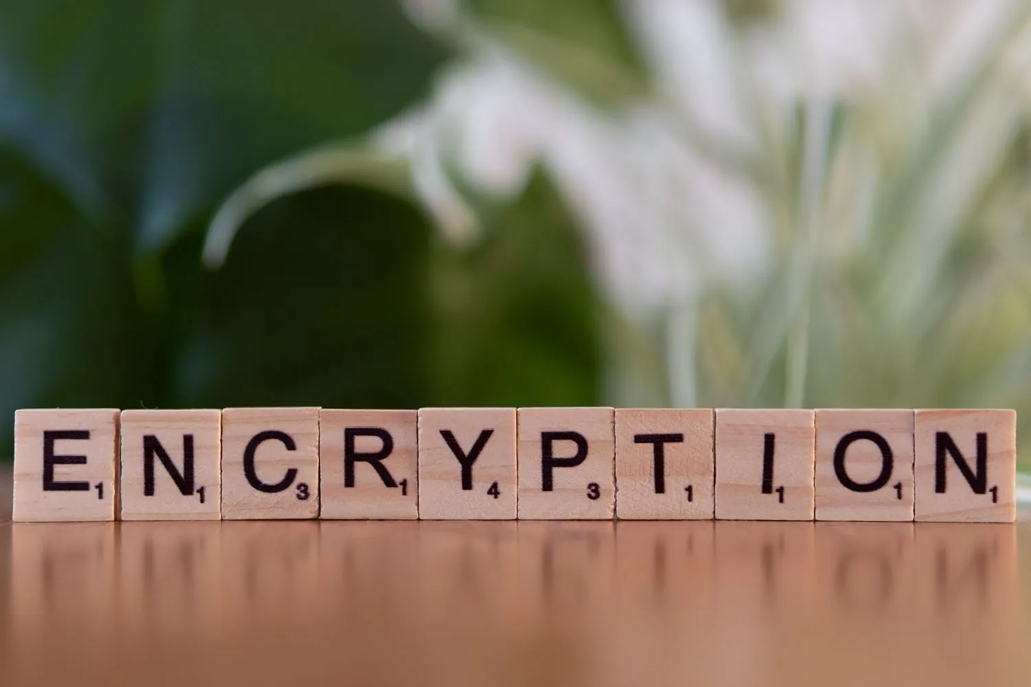 Curso de Pseudoanonimización con técnicas criptográficas