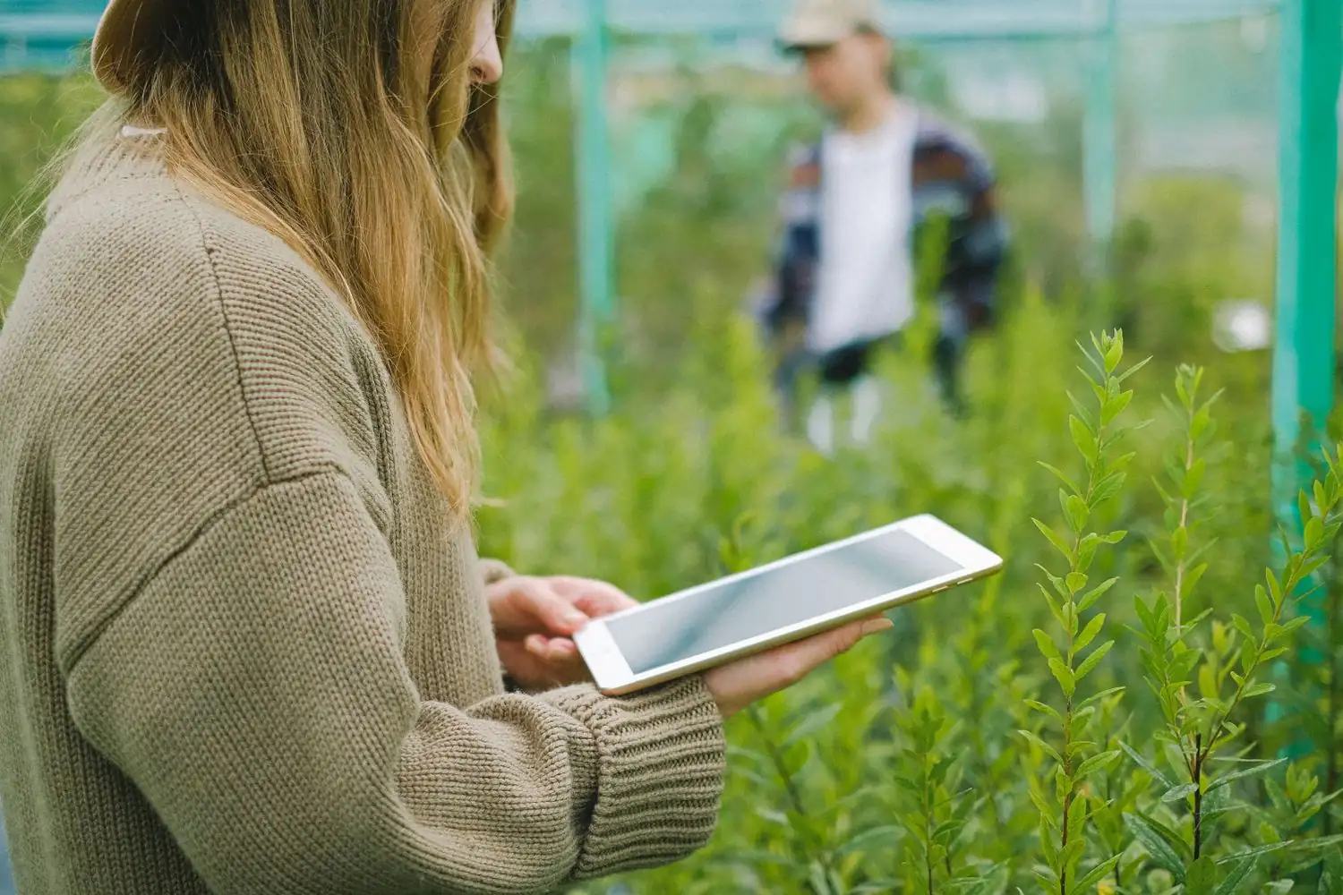 Diplomado en Privacidad en agricultura y agroalimentación