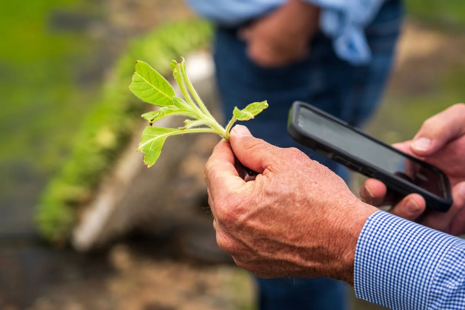 Metodología del Diplomado en Privacidad en agricultura y agroalimentación