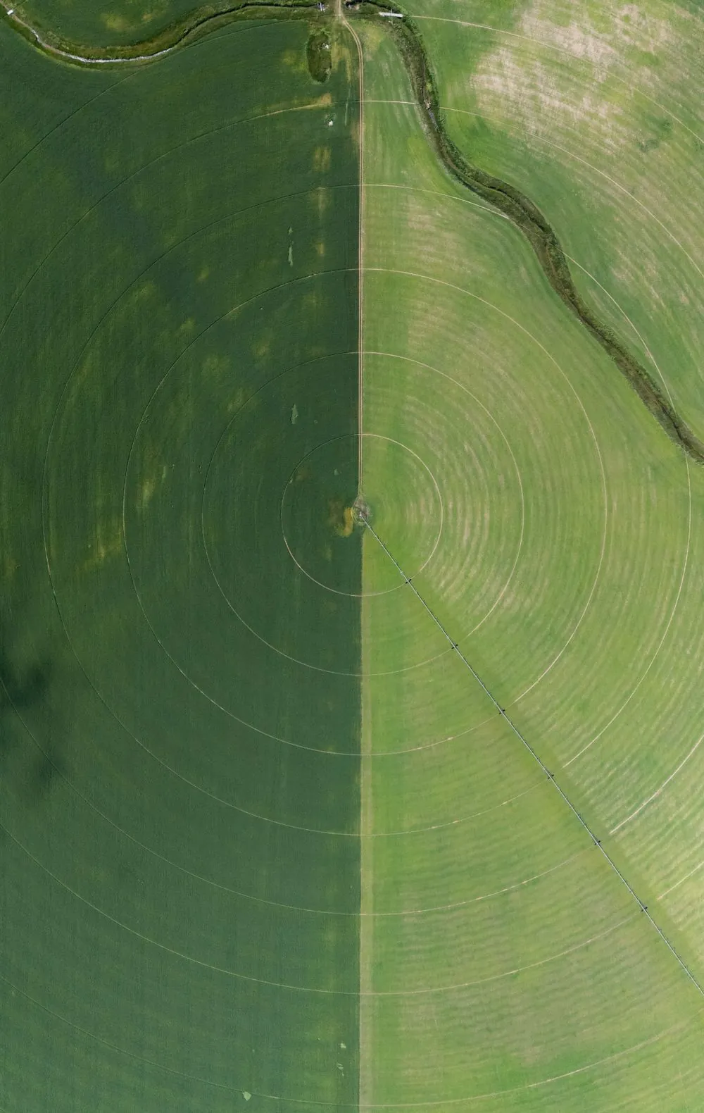 Por qué elegir el Diplomado en Privacidad en agricultura y agroalimentación