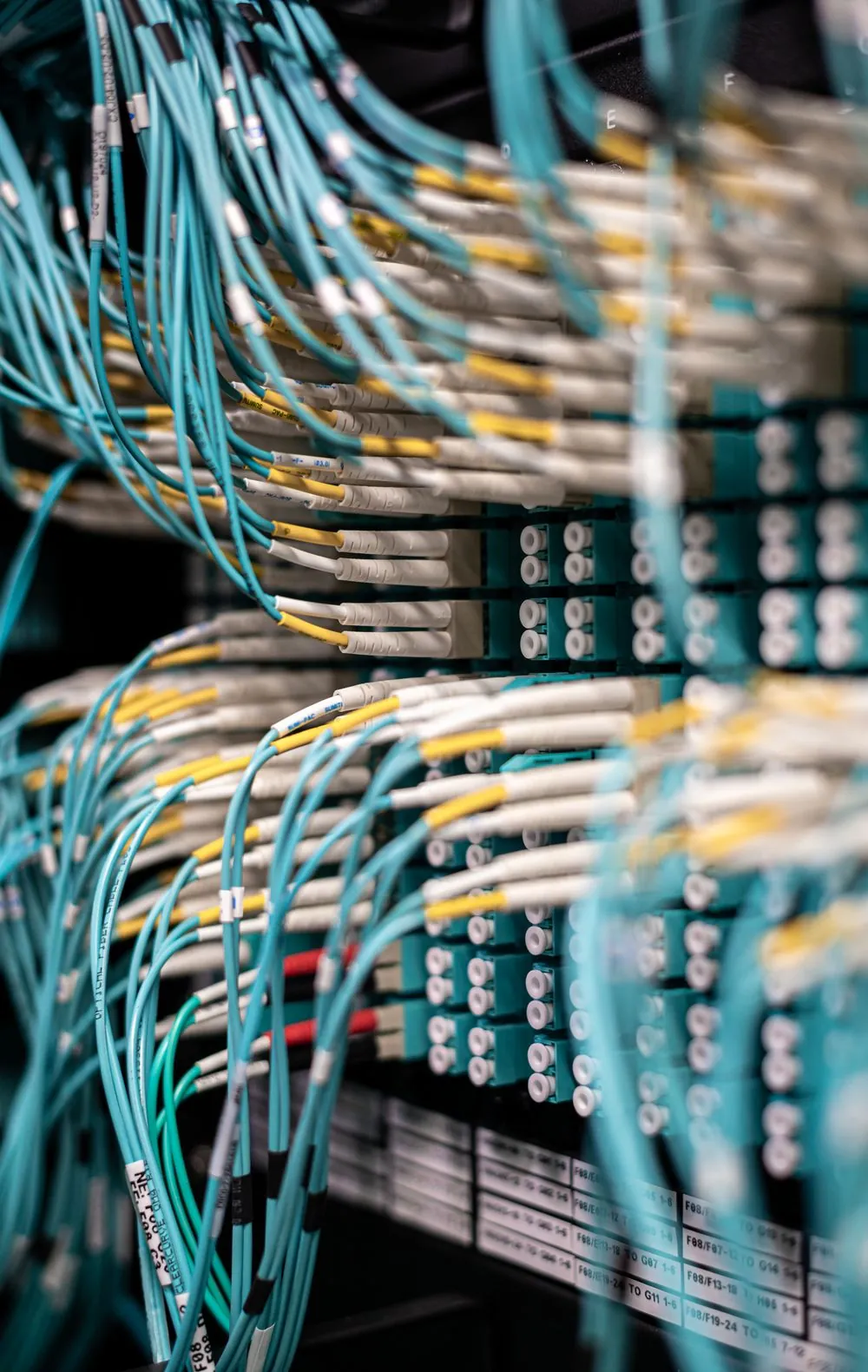 Por qué elegir el Máster en Ciberseguridad ofensiva y Red Team