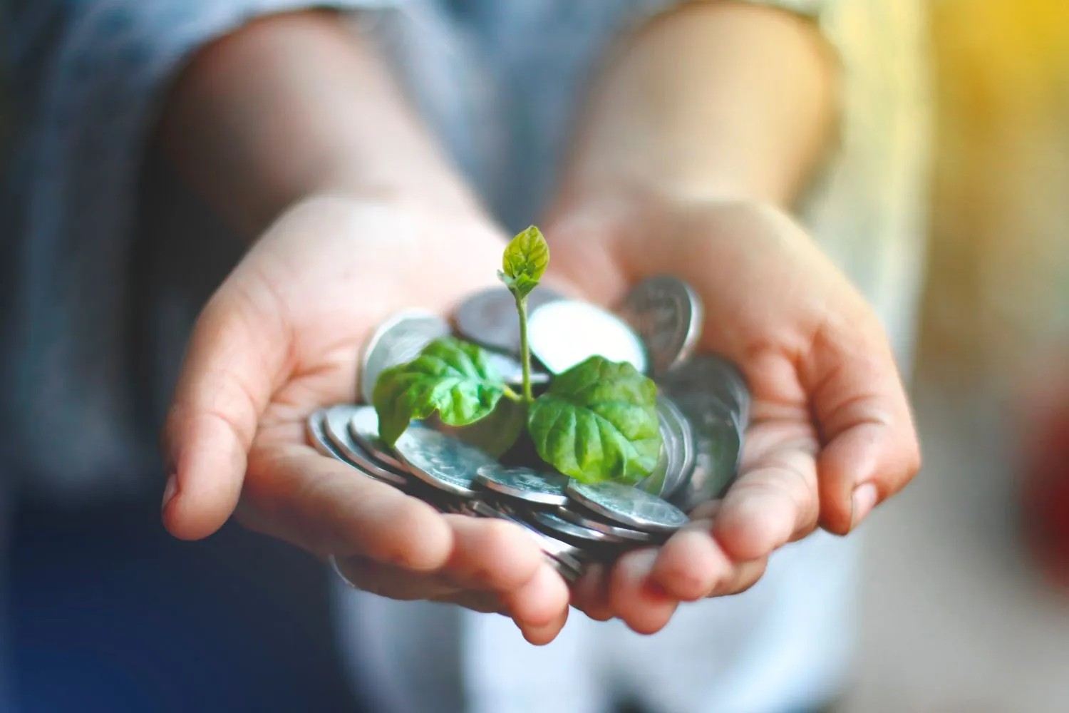 Máster en Privacidad y ESG (Environmental, Social, Governance)
