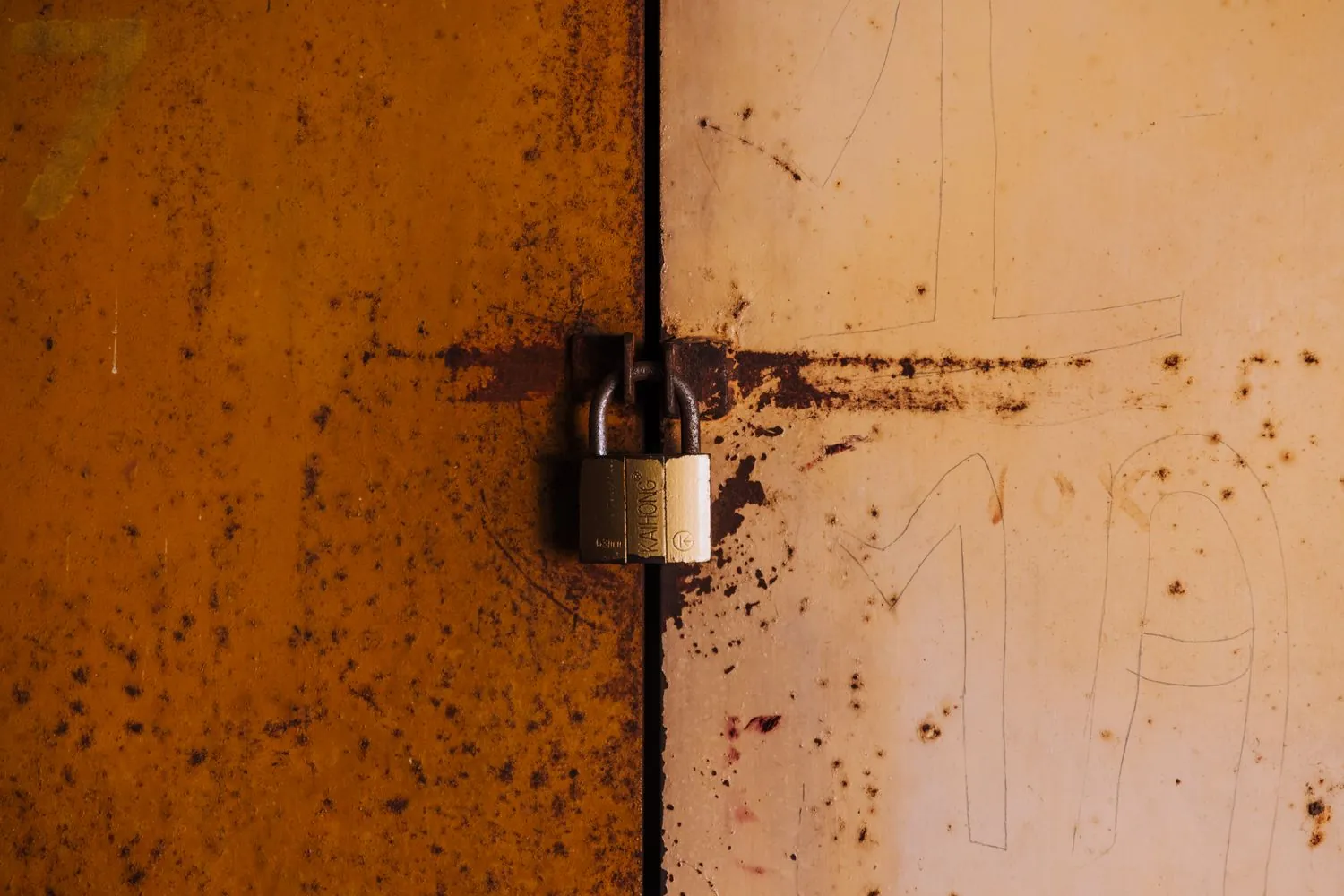 Competencias del Máster en Ciberseguridad y protección de datos integrada